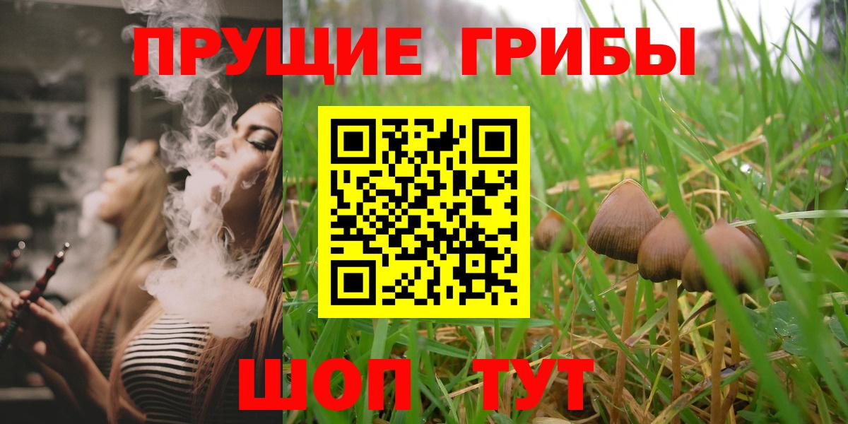Псилоцибиновые грибы GOLDEN TEACHER Южно-Сахалинск